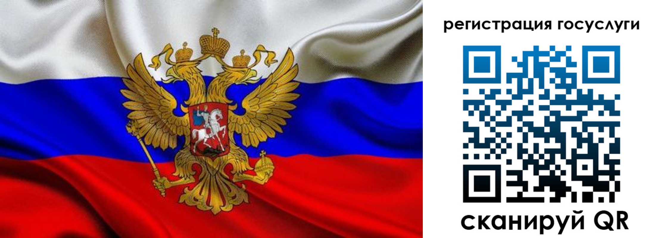 прописка гарантия в Донском
